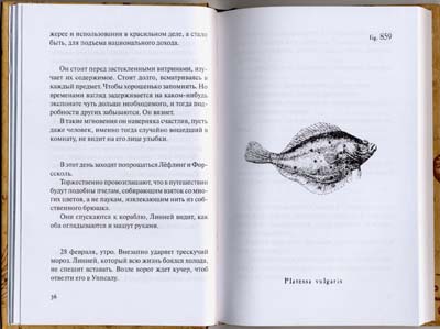 Магнус Флорин. Сад.