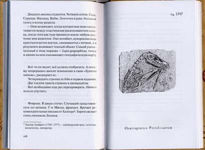 Магнус Флорин. Сад.