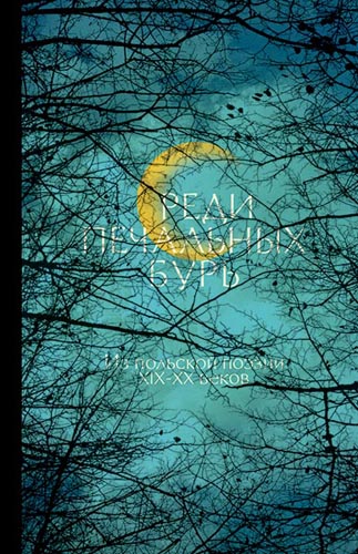 Обложка книги Среди печальных бурь